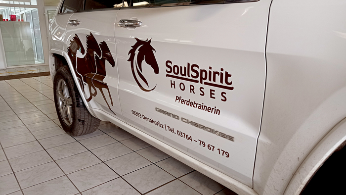 SoulSpirit Horses Dennheritz